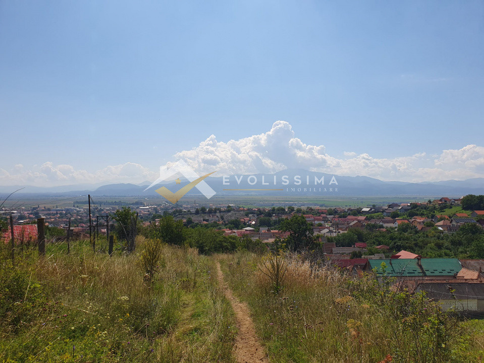 Teren intravilan vedere panoramica, Codlea