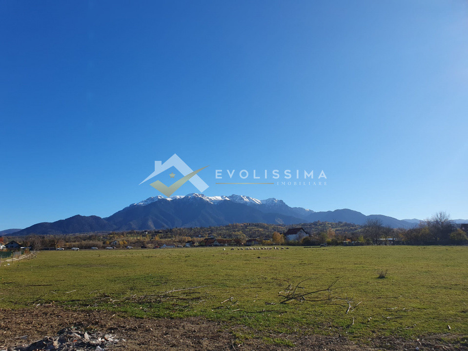 Teren intravilan 10.600 mp Strada Branului