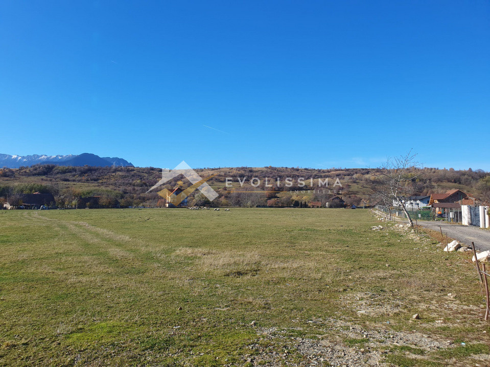 Teren intravilan 10.600 mp Strada Branului