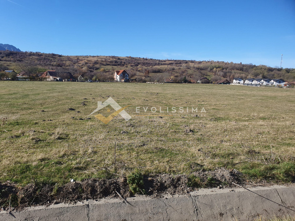 Teren intravilan 10.600 mp Strada Branului