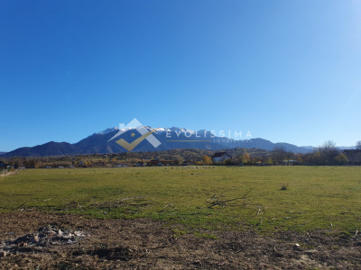 Teren intravilan 10.600 mp Strada Branului