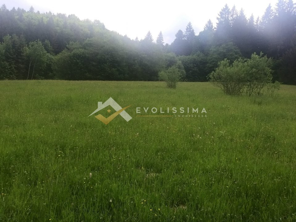Teren extravilan 2.733 mp Vulcan