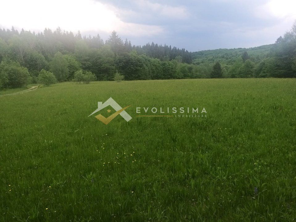 Teren extravilan 2.733 mp Vulcan